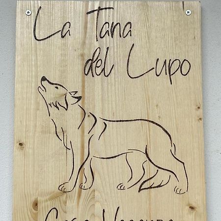 La Tana Del Lupo Lägenhet Camporosso  Exteriör bild